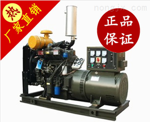 北京汽油發(fā)電機(jī)|廣州汽油發(fā)電機(jī)|重慶汽油發(fā)電機(jī)-上海罕莎實業(yè)